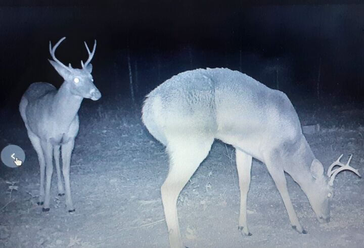 Property Photo:  Vacant 20 Ac SE Parliament Trail  FL 32059 