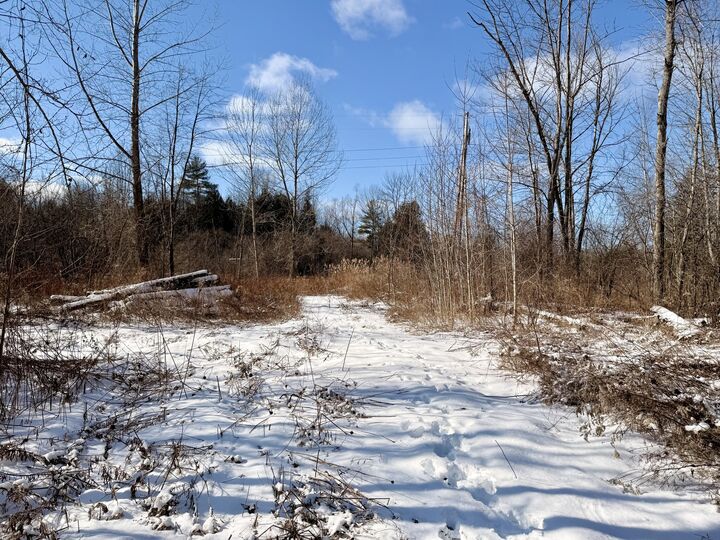 Property Photo:  0 Soper Street  NY 12962 