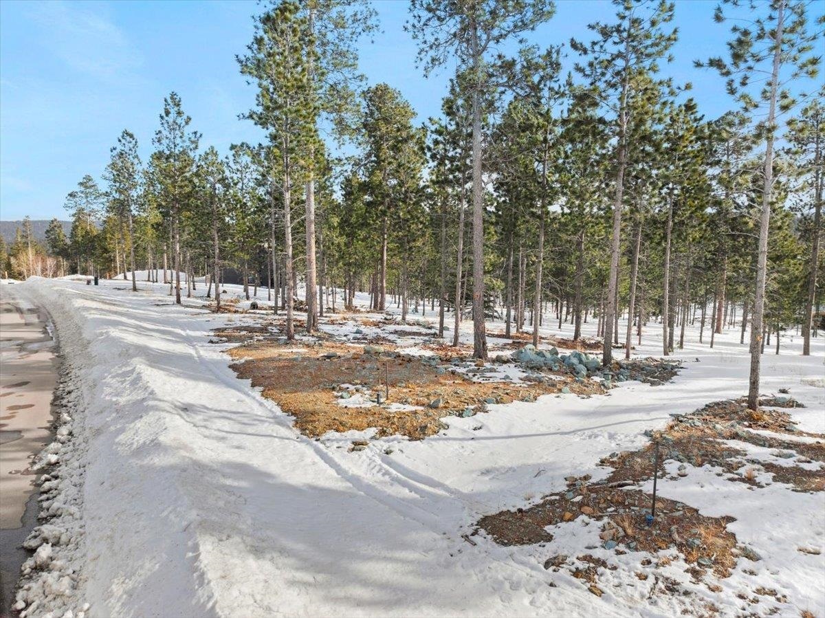 Lot 5 Block 9 Overlook Pass  Lead SD 57754 photo