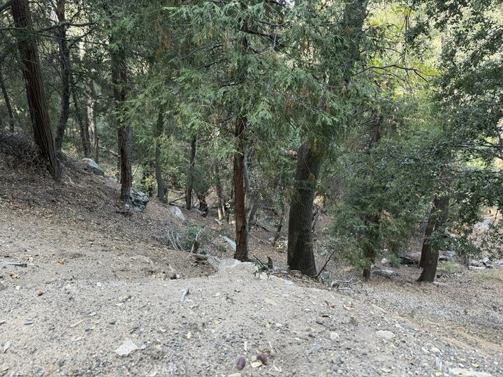 Property Photo:  0 Mojave River Road  CA 92322 