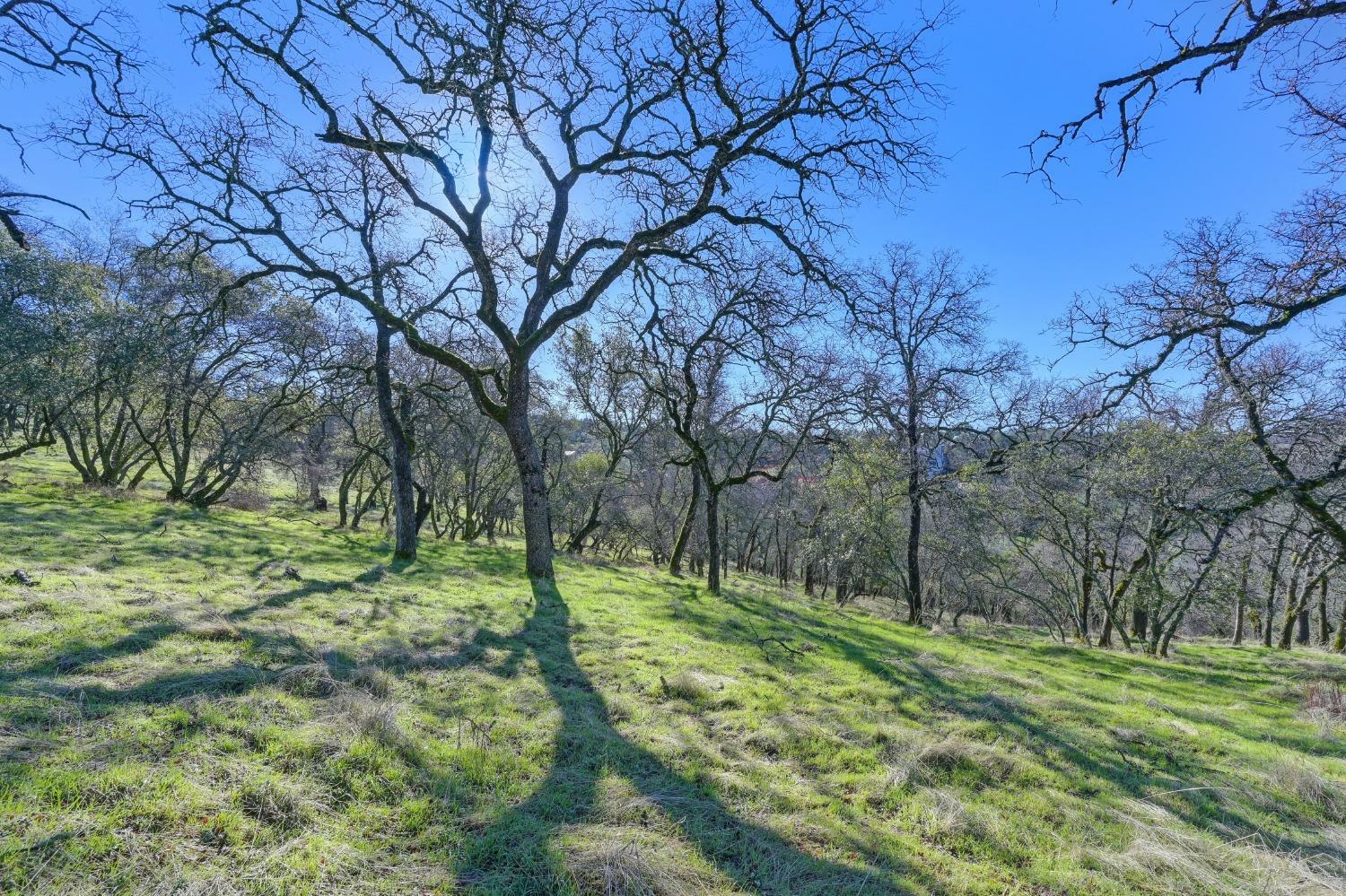 Property Photo:  6576 Western Sierra Way  CA 95762 