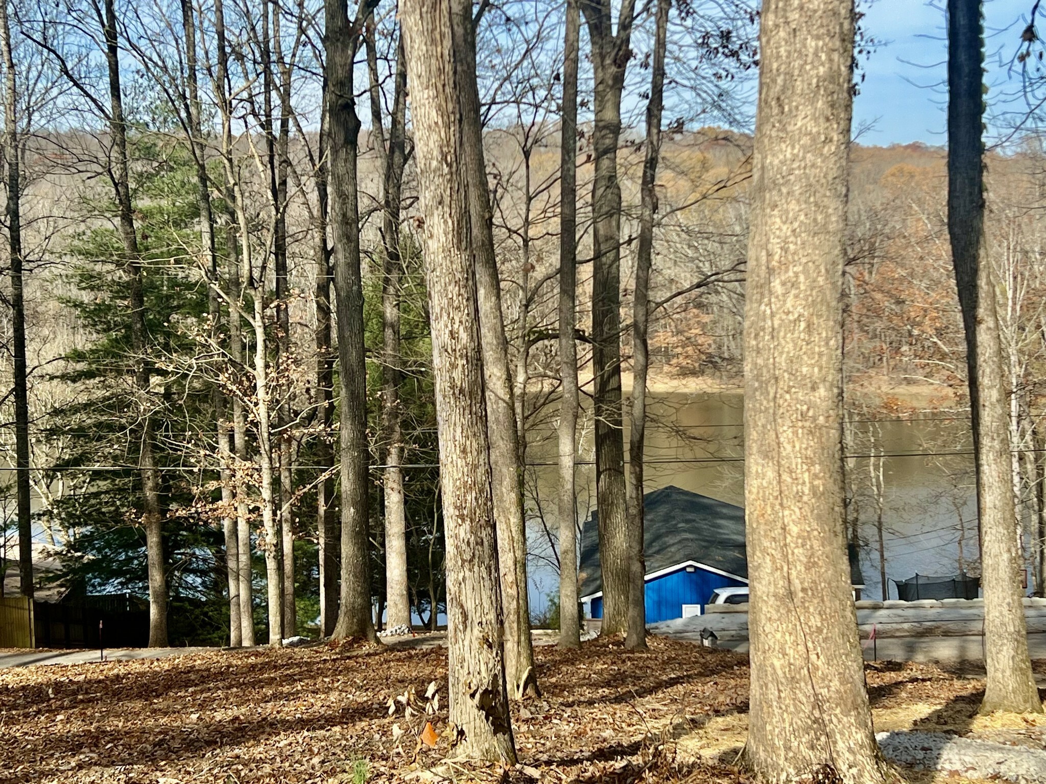 Property Photo:  116 Hickman Shores Rd  TN 37058 