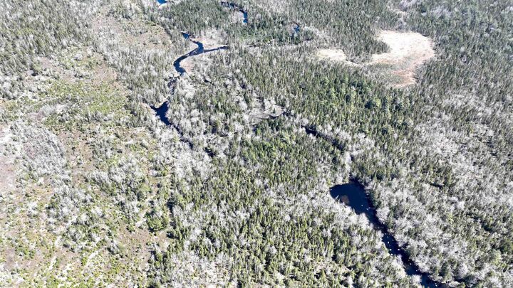 Property Photo:  Lot Hirtle Road  NS B0J 2H0 