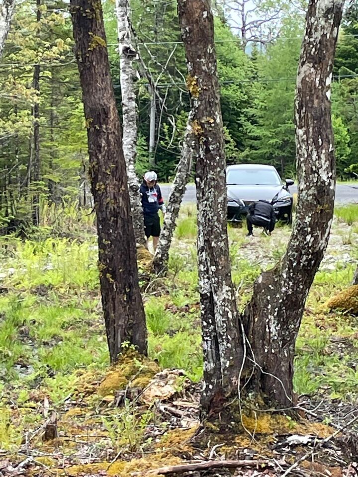 Property Photo:  Lot 1A-81 Maple Drive  NS B0E 3B0 
