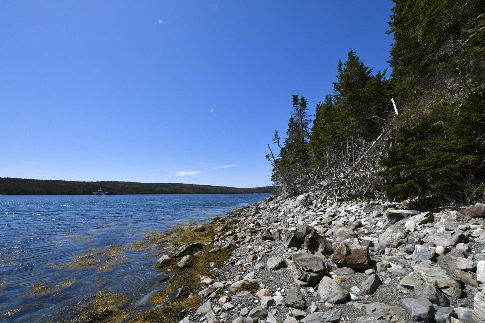 Property Photo:  Lot 1 Highway 211  NS B0J 2K0 