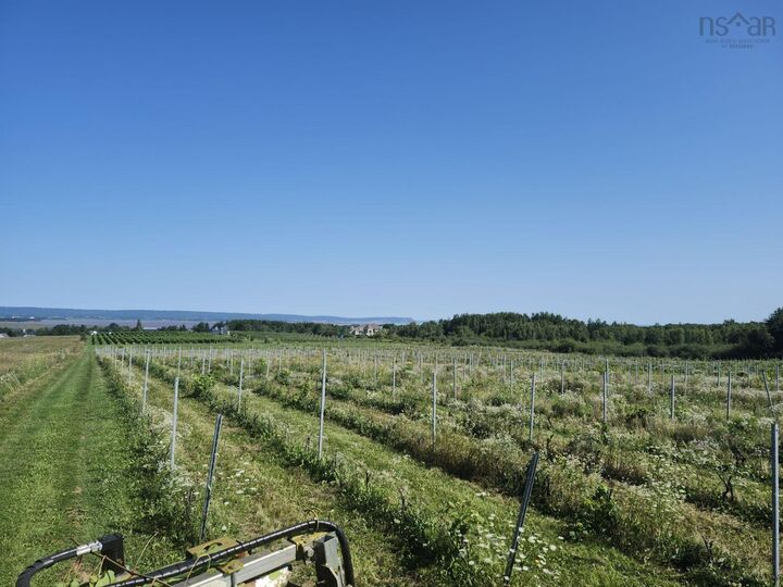 Property Photo:  Lot 2024 Maple Ridge Road  NS B4P 2R1 