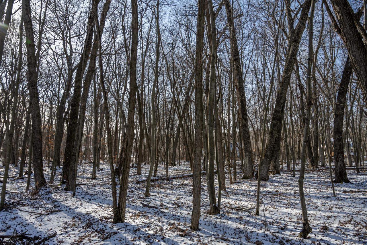 Property Photo: Lot 10 Oak Hill Estates E WI 53948