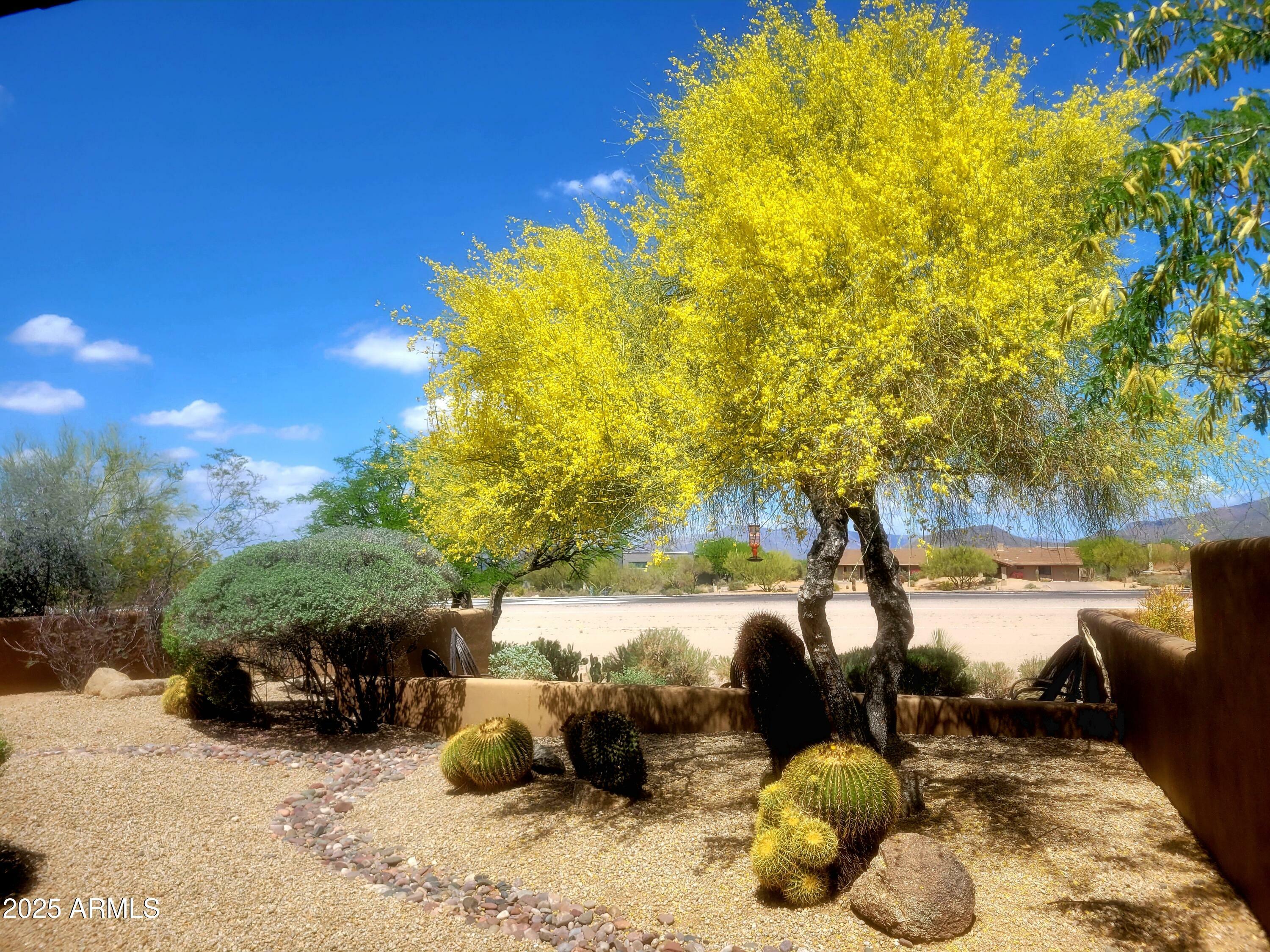 Property Photo: 8502 E Cave Creek Road 10 AZ 85377