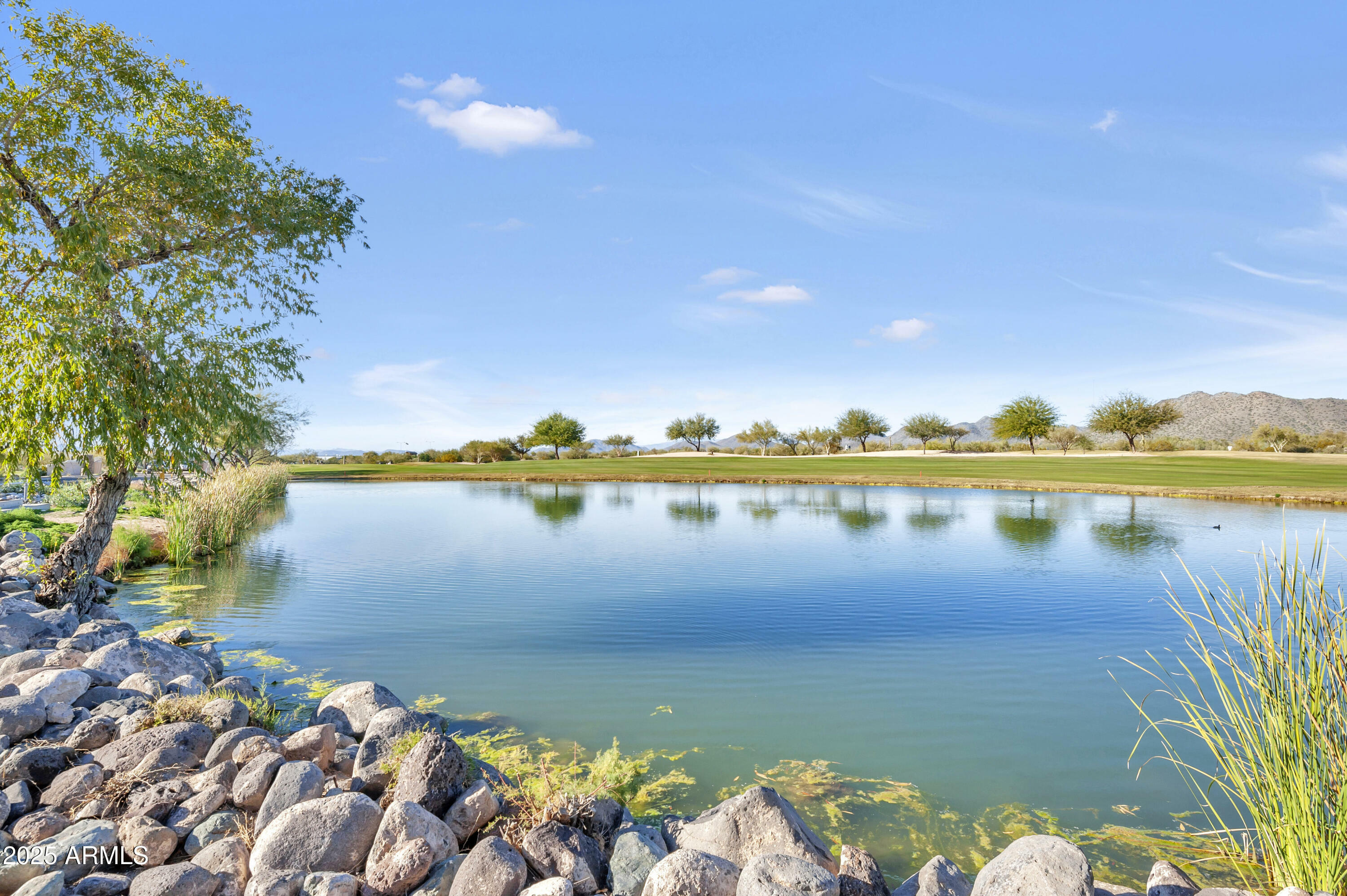 Property Photo: 33575 N Dove Lakes Drive 2036 AZ 85331