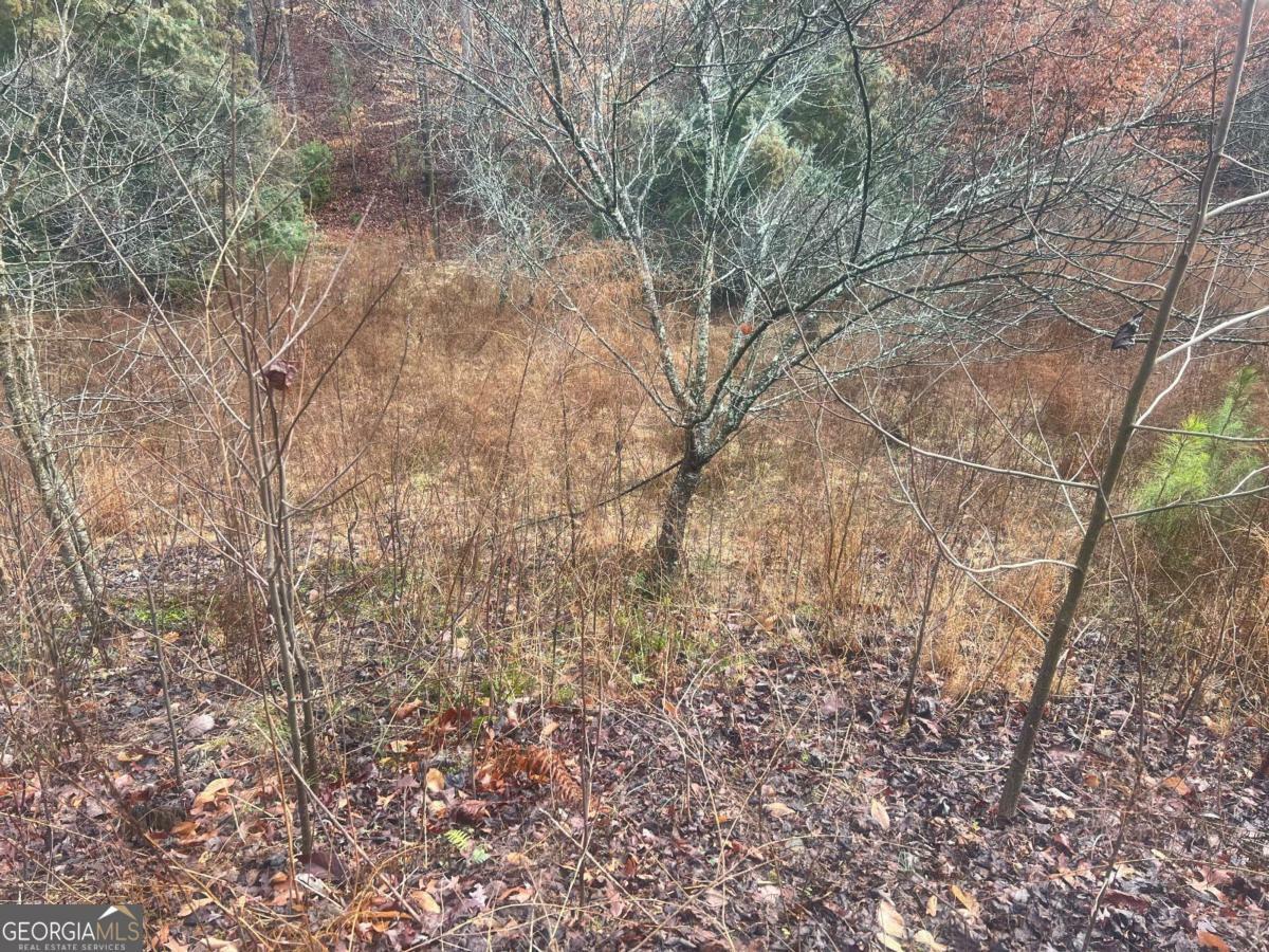 Property Photo: 0 Navajo Circle GA 30501