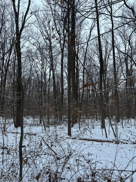 Property Photo:  Road Block 34 Lot 17  NJ 08525 