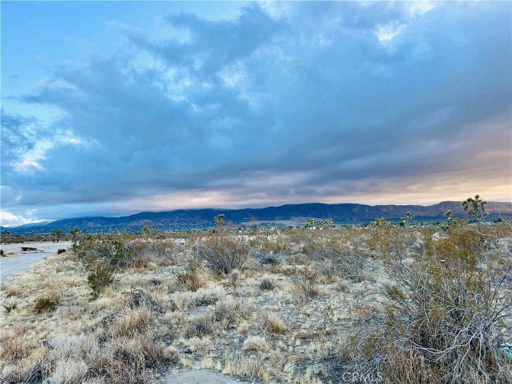 Property Photo: 0 La Mesa Road CA 92372