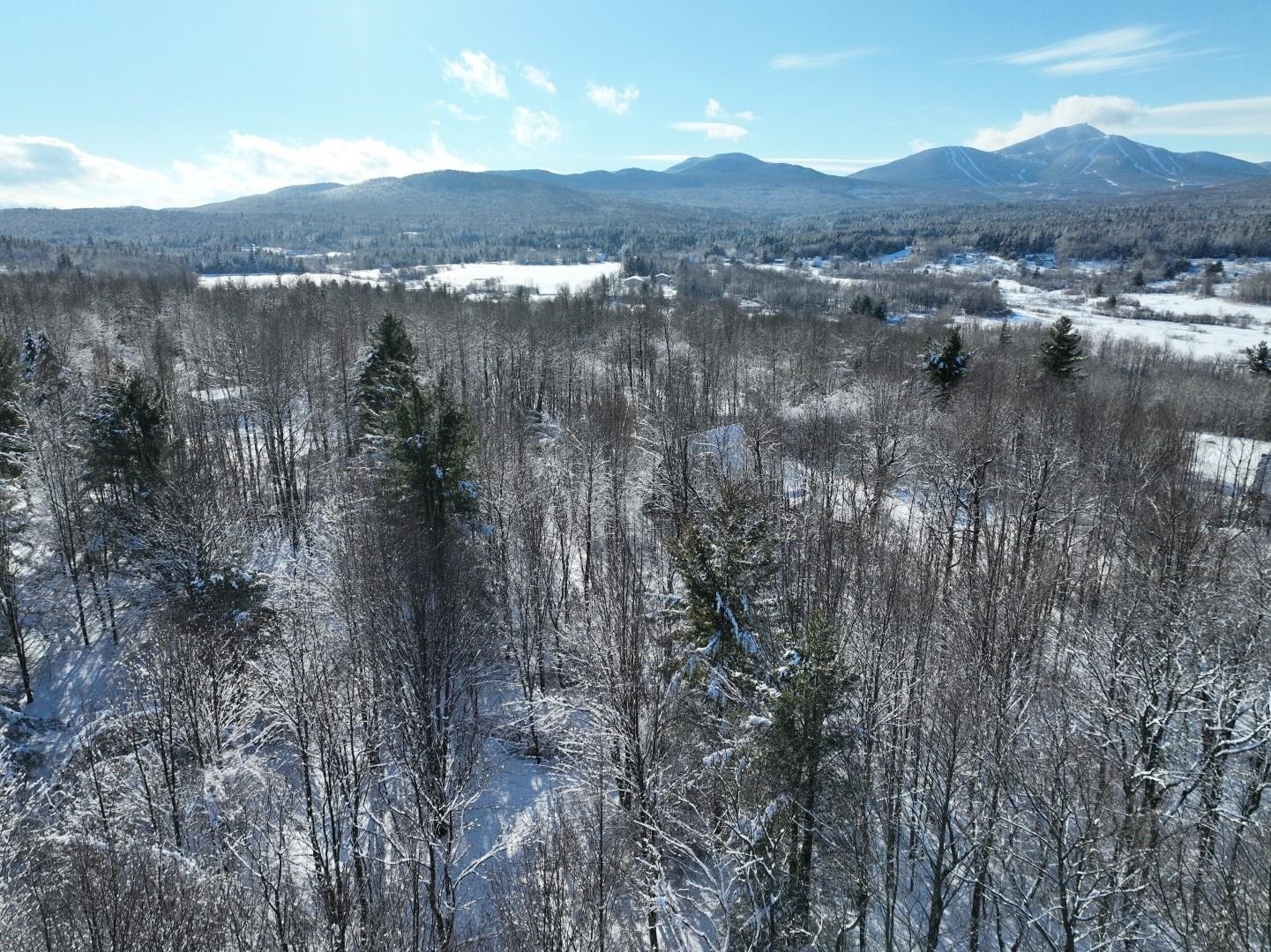Property Photo: 0 Belle Vista Road VT 05859