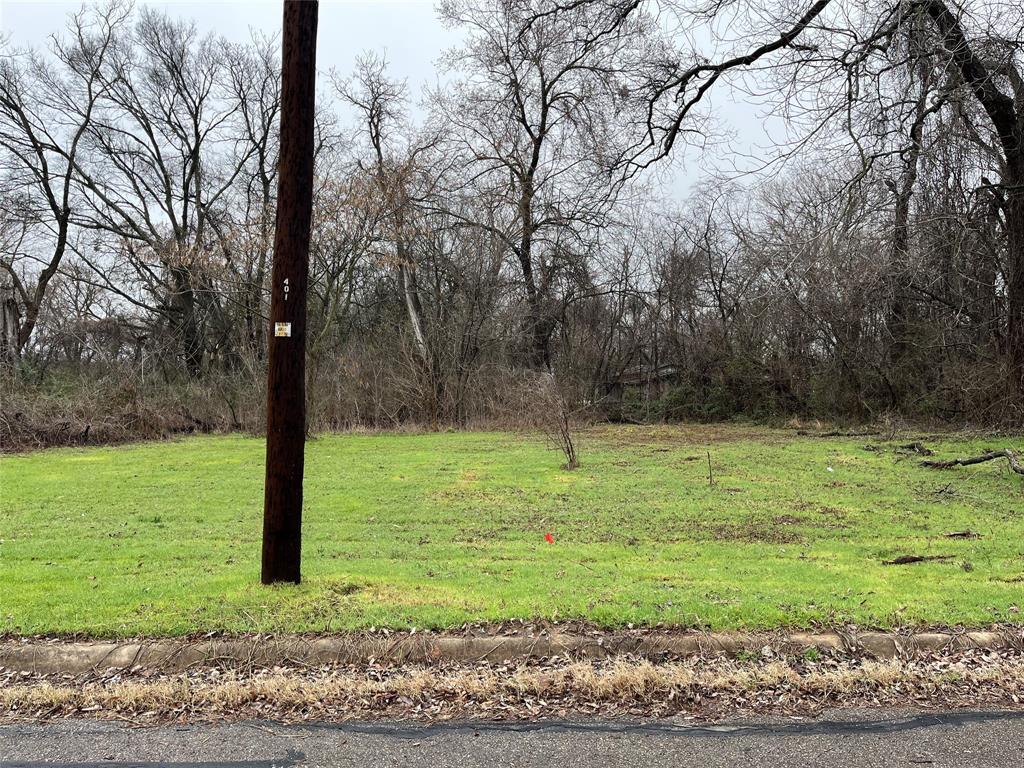 Property Photo: Lot 2 E Garrett Street TX 75460