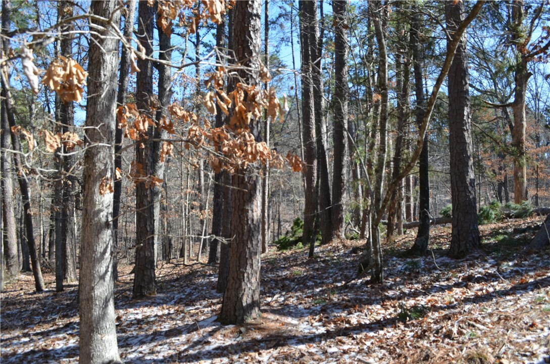 Property Photo: Tbd E Horatio Lane AR 72714