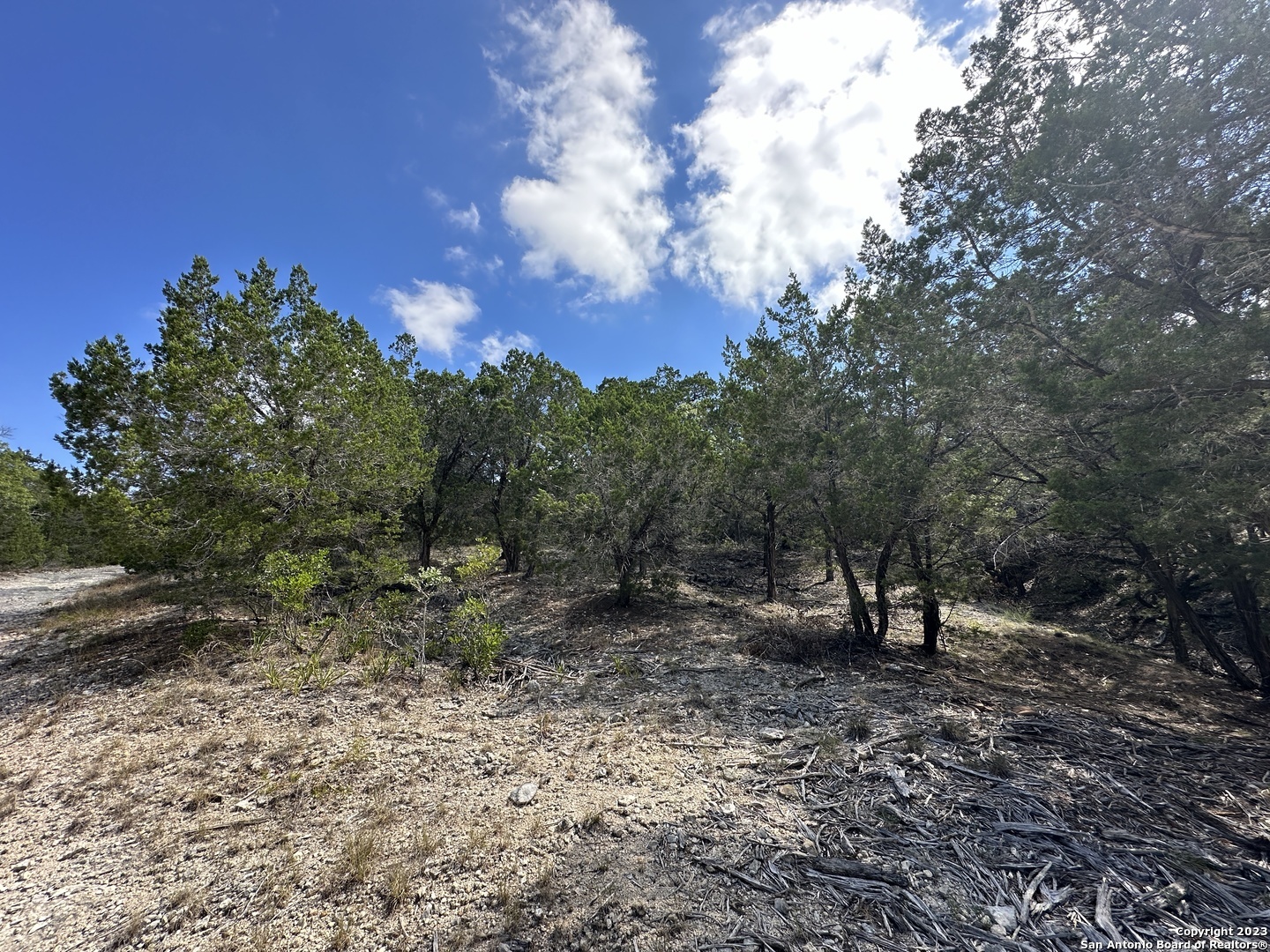 Property Photo:  439 Private Road 1706  TX 78023 