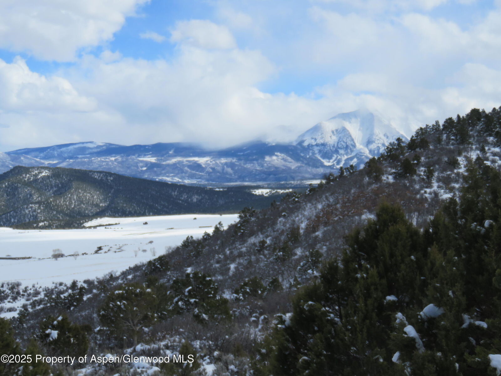 Property Photo:  Tbd 117 County Road  CO 81601 