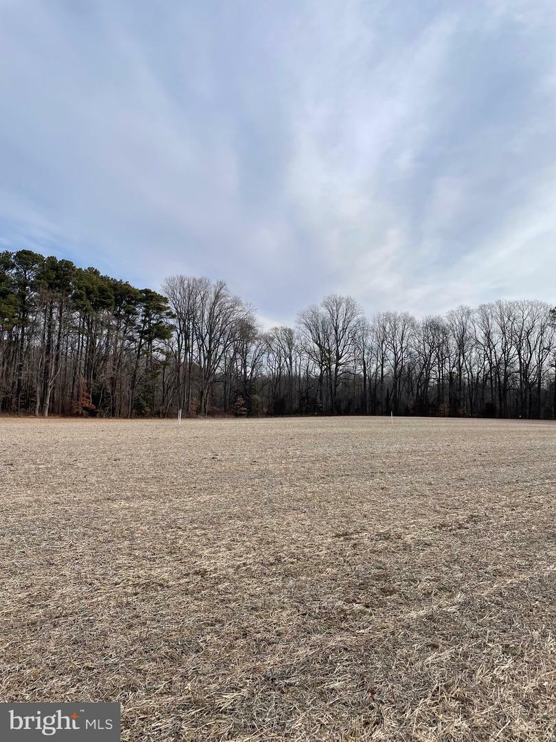 Property Photo:  Lots 1-4 Beaver Dam Rd  MD 21673 