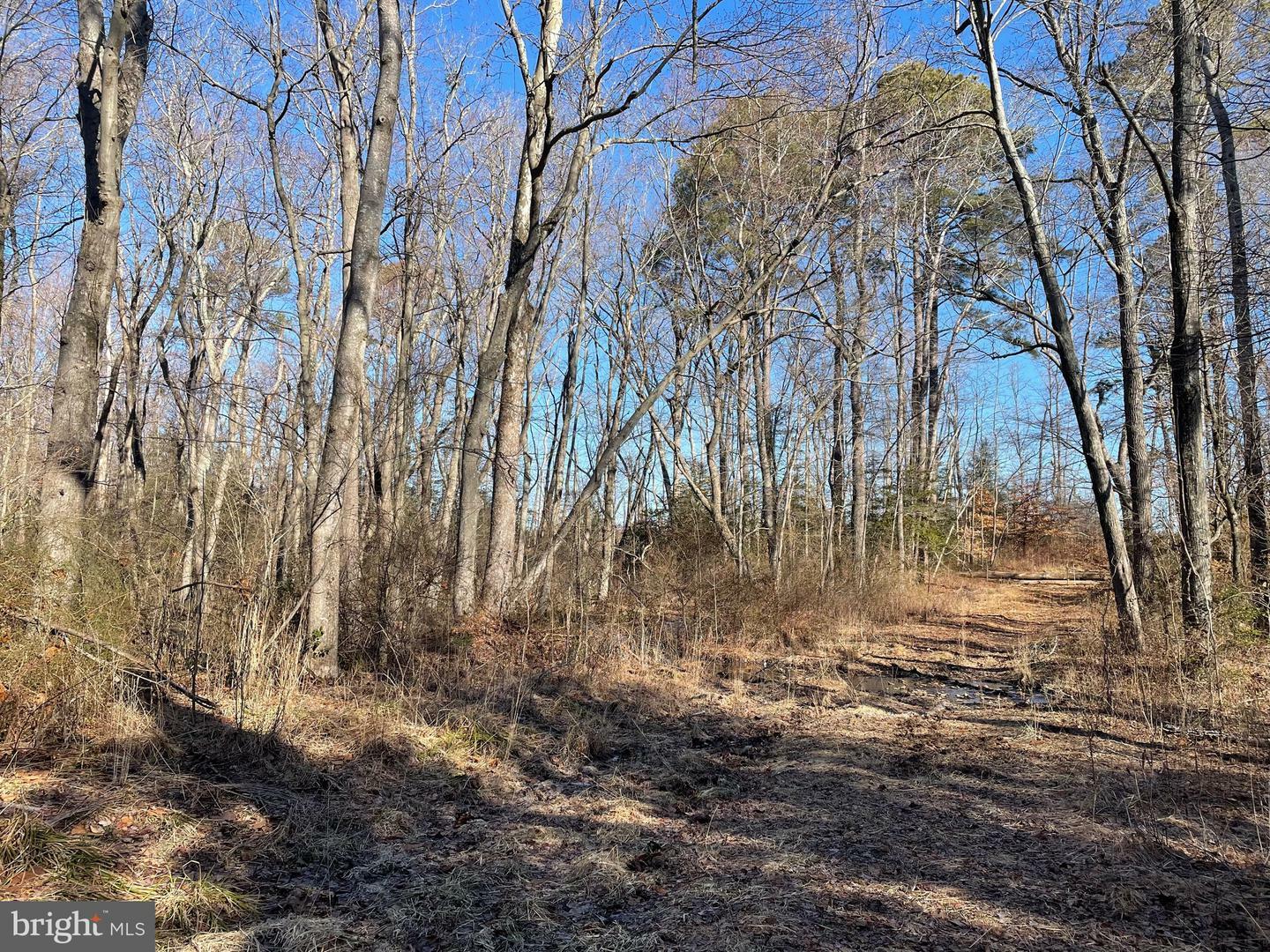 Property Photo:  Beaver Dam Rd  MD 21673 