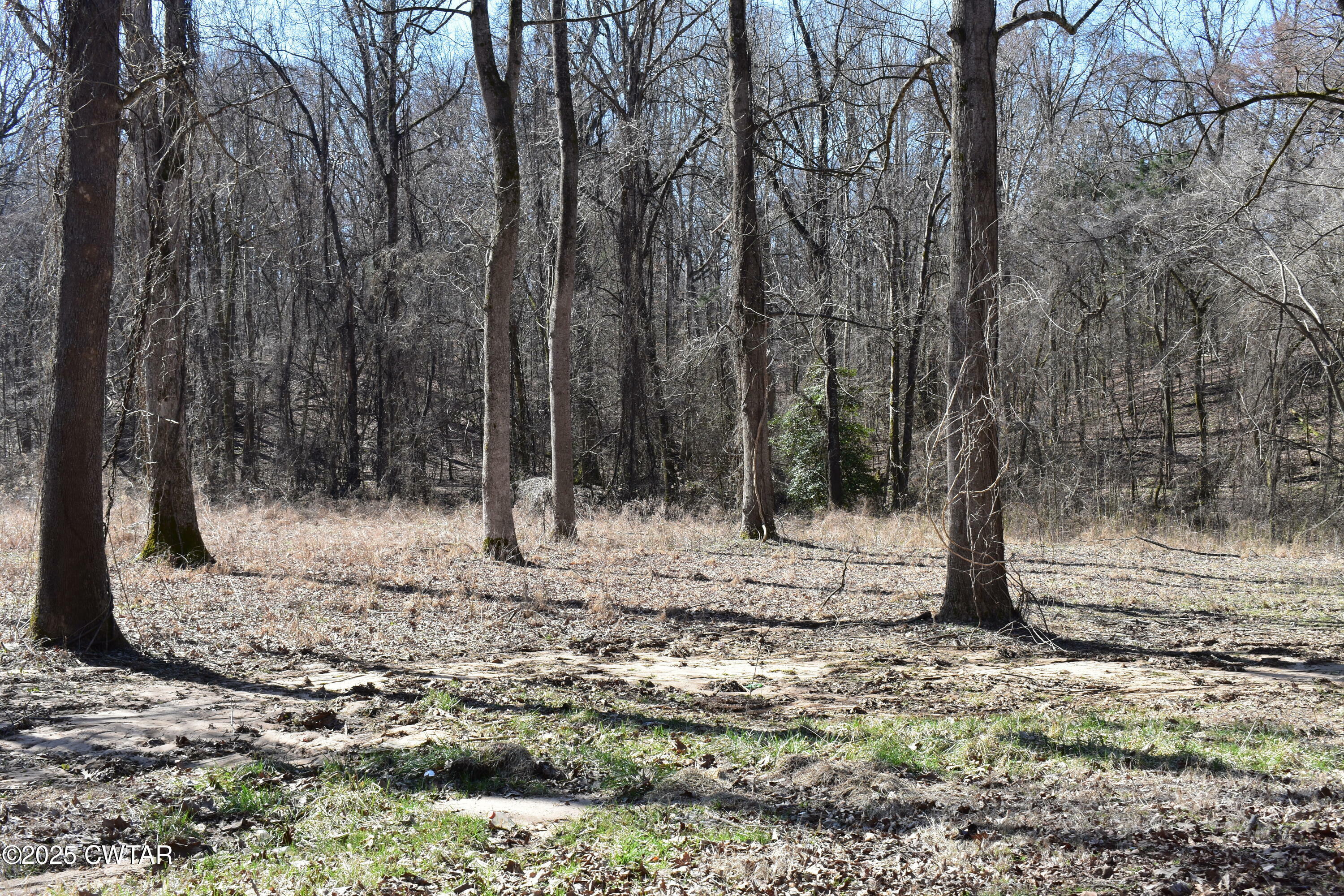 Property Photo:  00 E Lakewood Drive E  TN 38305 