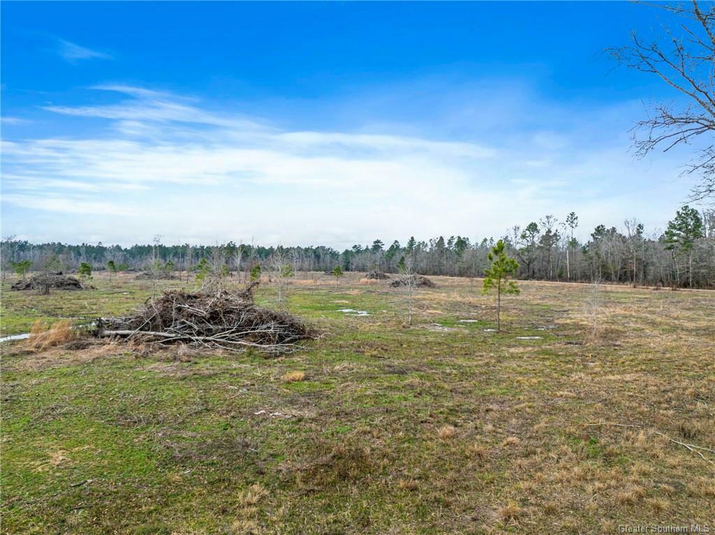 Property Photo: 0 Tract 2 Conway Rosteet Road LA 70657
