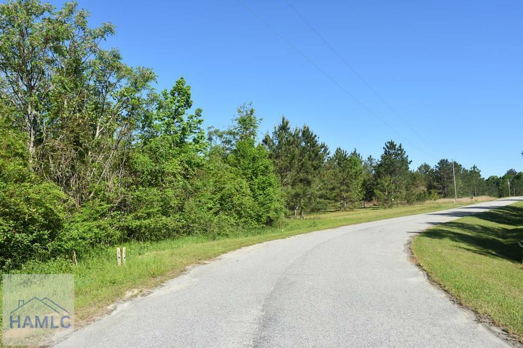 Property Photo: Lot 27 Chestnut Lane GA 30425