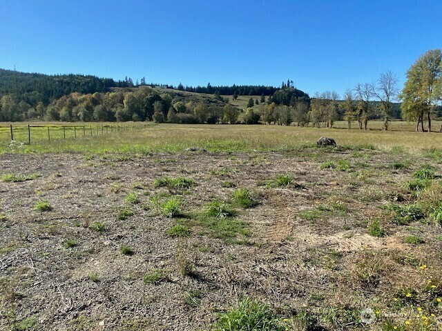 955  Pleasant Valley Road  Chehalis WA 98522 photo