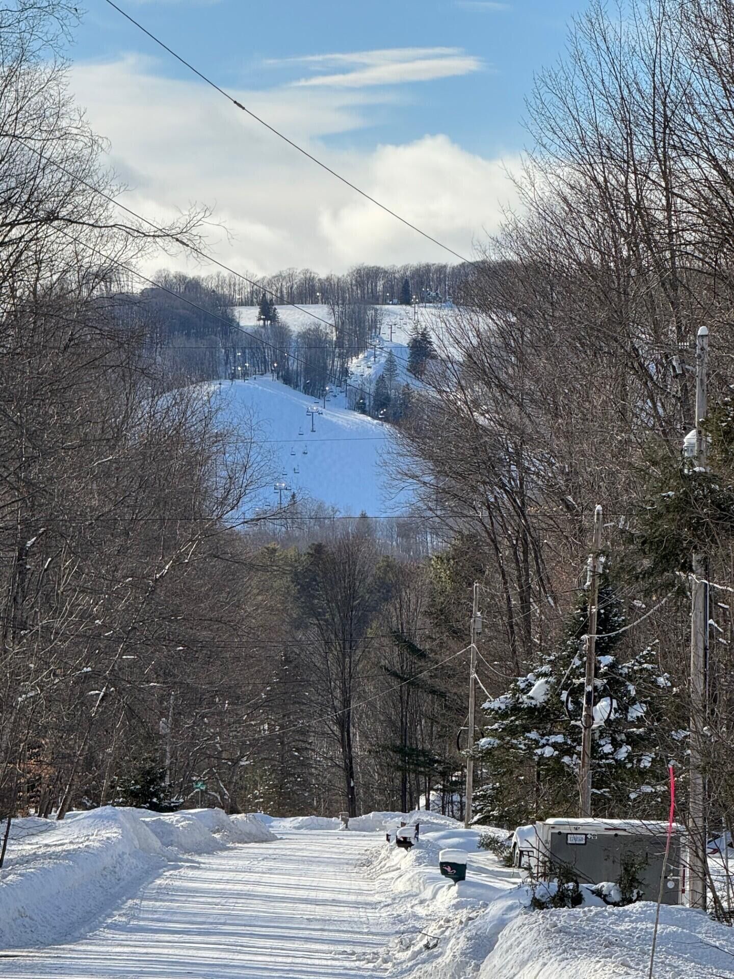 Property Photo: 226 Wild Cherry Lane MI 49740