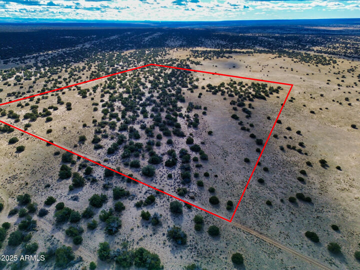 Property Photo:  Lot 78 Witch Well Ranches -- 78  AZ 85936 
