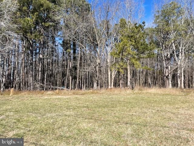 Property Photo:  Parcel 24 Ocean Highway  MD 21871 