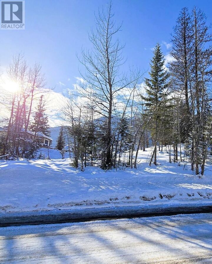 51 Cariboo Drive — photo 1