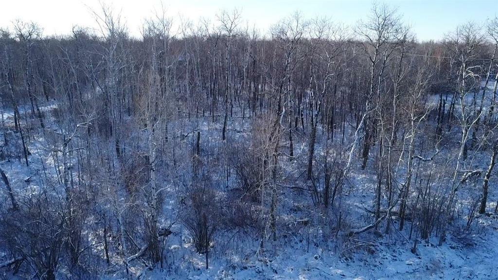 Photo de la propriété:  0 36N Road  MB R0A 0W1 