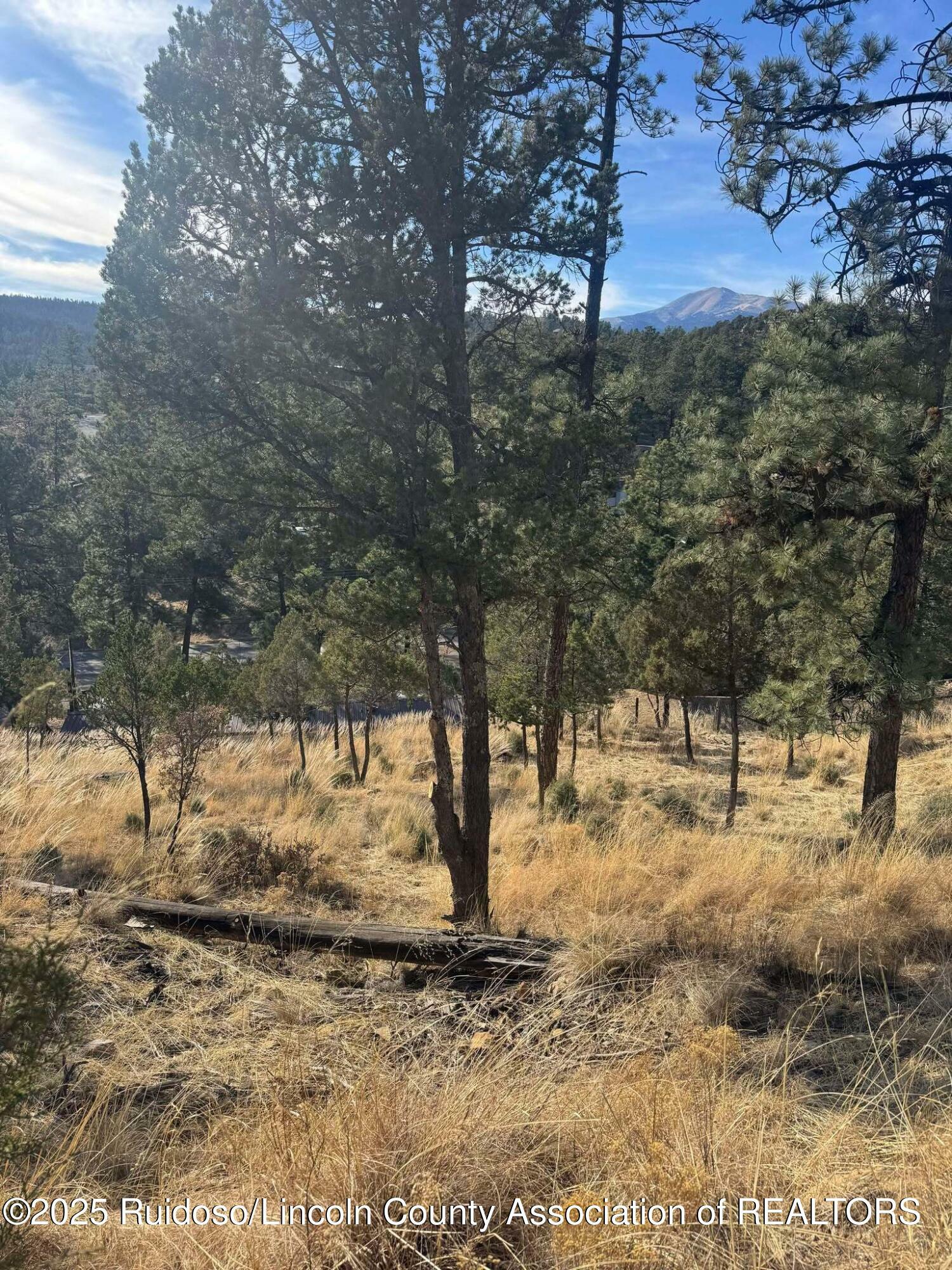 Property Photo:  110 Rockmount Drive  NM 88345 