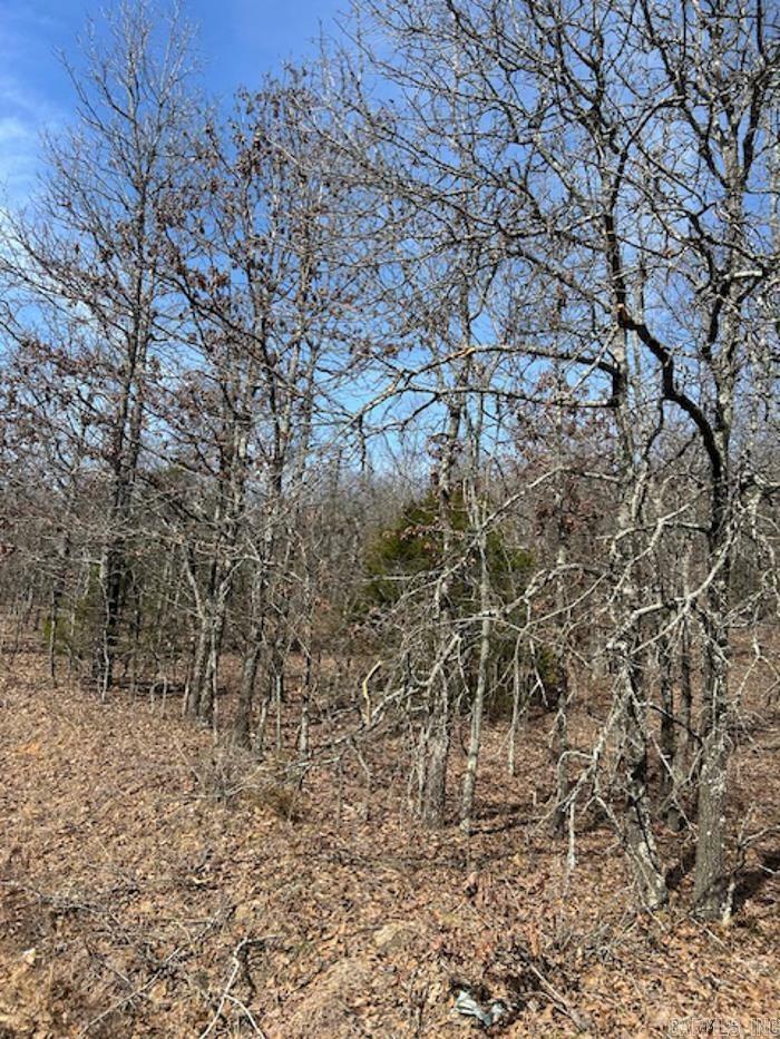 Property Photo:  Lot 27 Saltillo Heights  AR 72032 