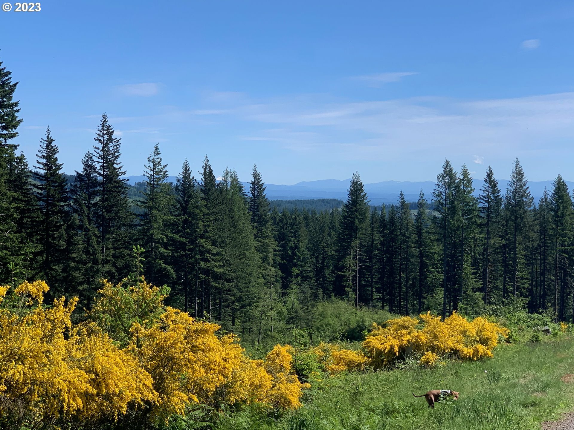 Property Photo: NE 94th St WA 98607