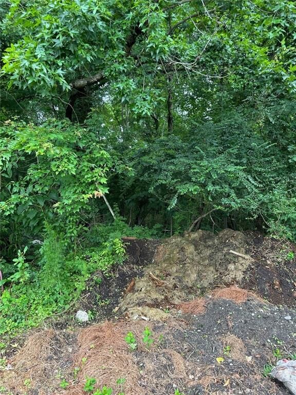 Property Photo: .18ac Clifton St VA 23435