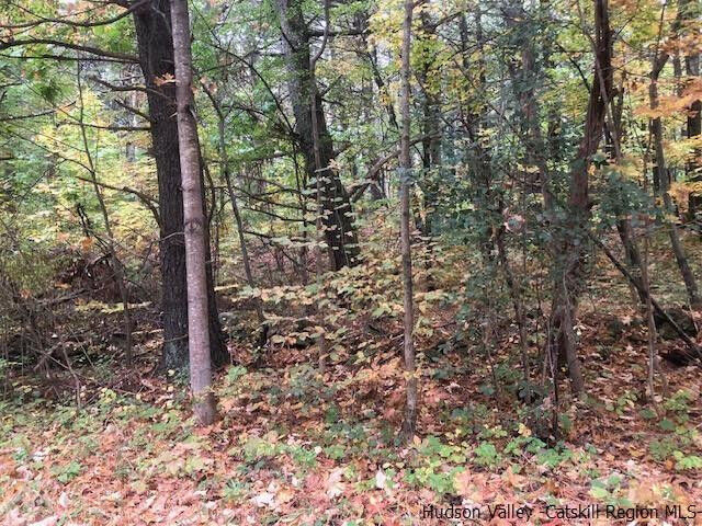 Property Photo:  673 Alcove  NY 12124 