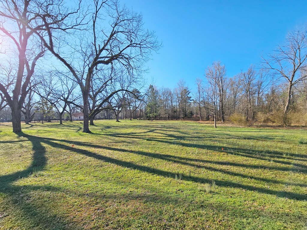 Property Photo: Lot 36 Deer Run Lane GA 31763