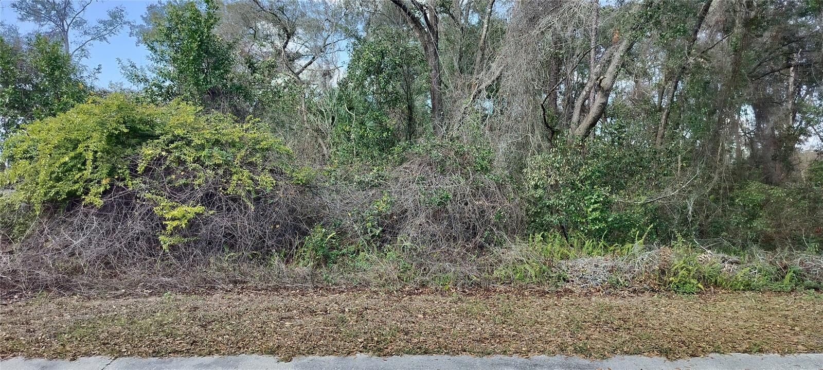 Property Photo: 204 Adelphi Street FL 34452