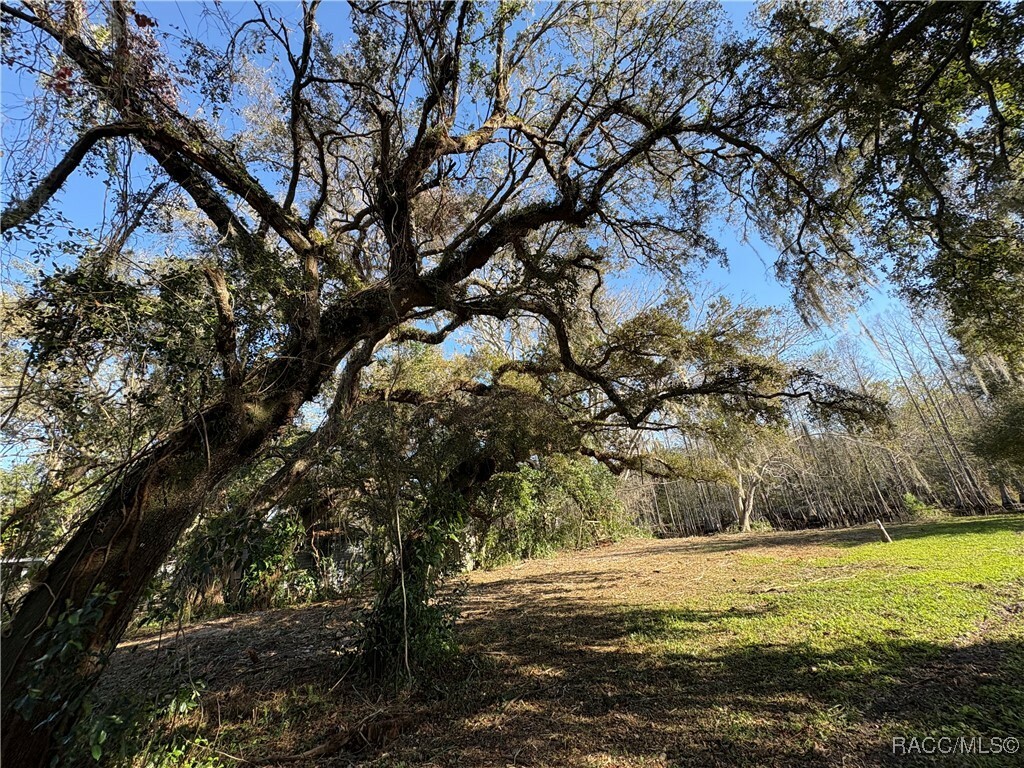 Property Photo: 10500 E Gobbler Drive FL 34436