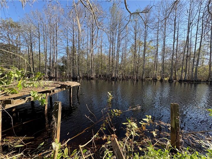 Property Photo:  10500 E Gobbler Drive  FL 34436 