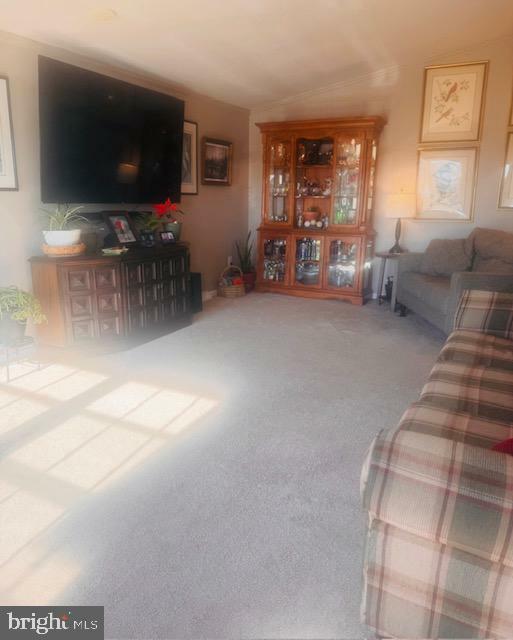 Property Photo:  69 Park Lane  MD 21601 