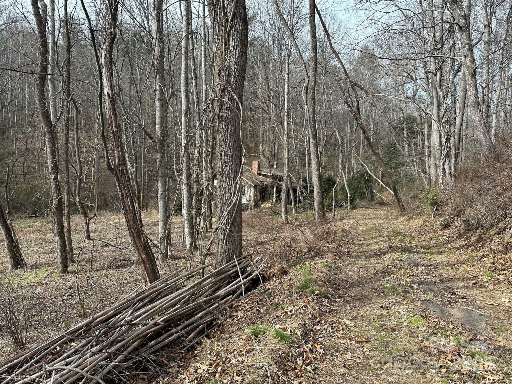 Property Photo:  000 Big Cove Road  NC 28715 