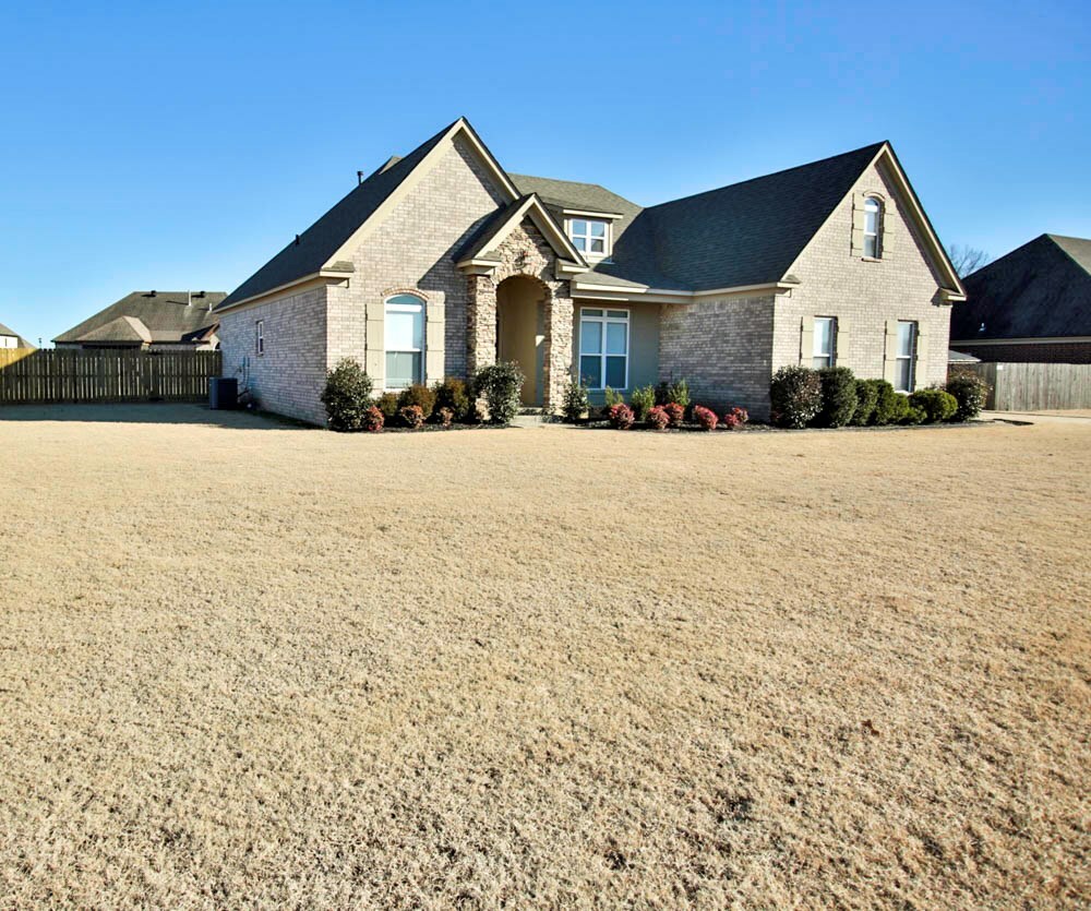 Property Photo: 246 Estate Drive AR 72327