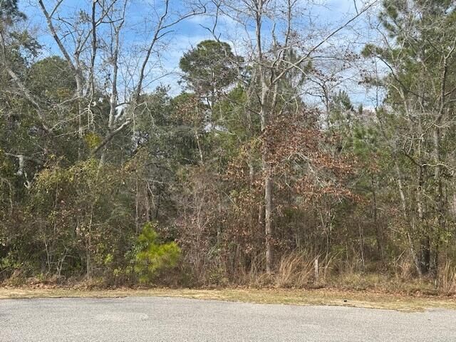 Property Photo: Lot 76 Harbour Trace FL 32439