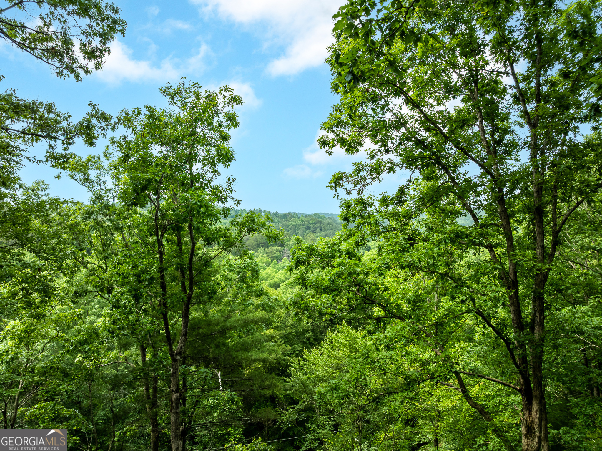 Property Photo: 193 Alm Lane 1203 1204 GA 30540