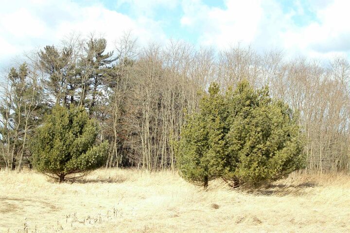 W7530 38th Street  New Lisbon WI 53950 photo