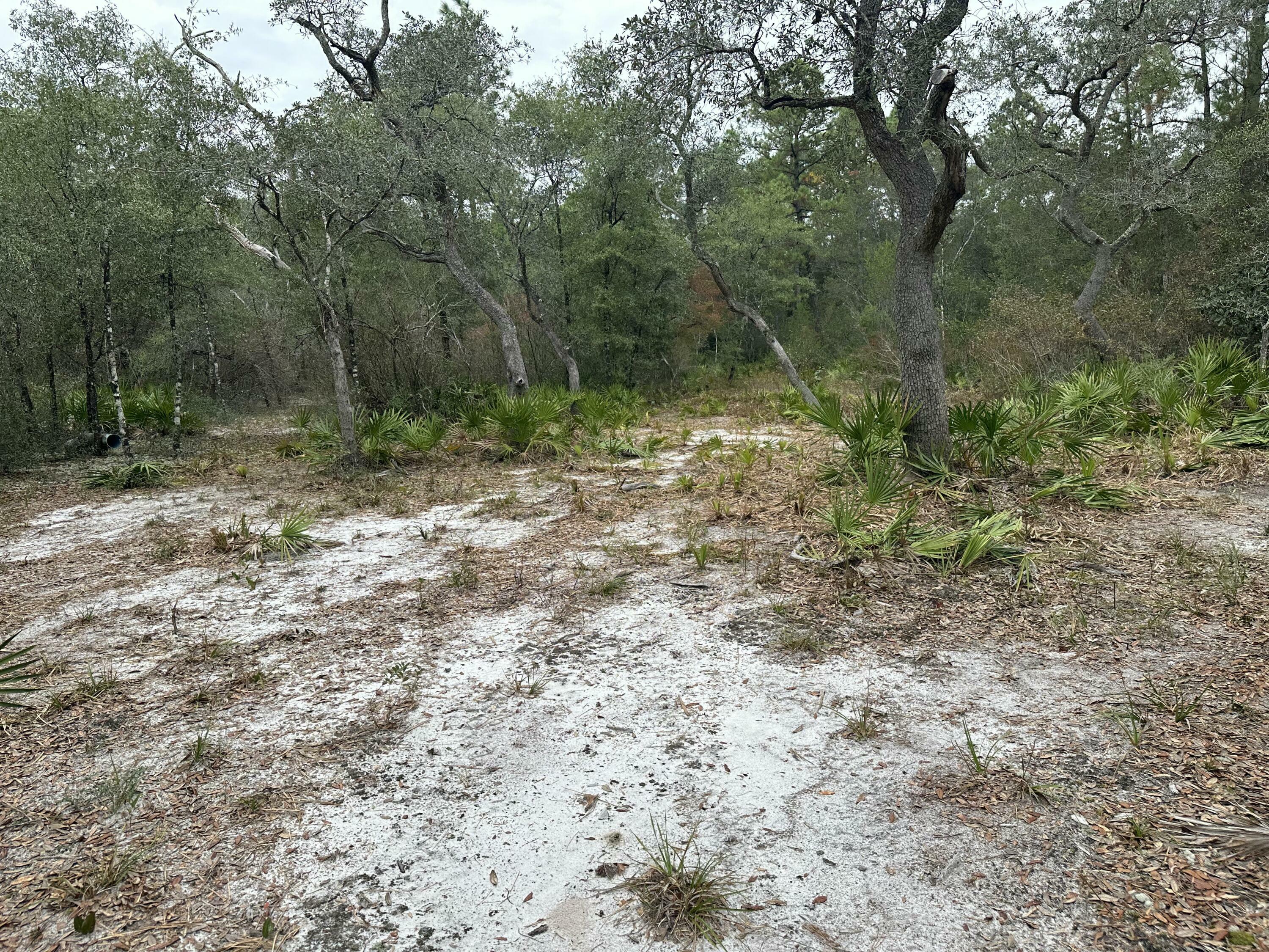 Property Photo:  Parcel D Turkey Track Street  FL 32539 