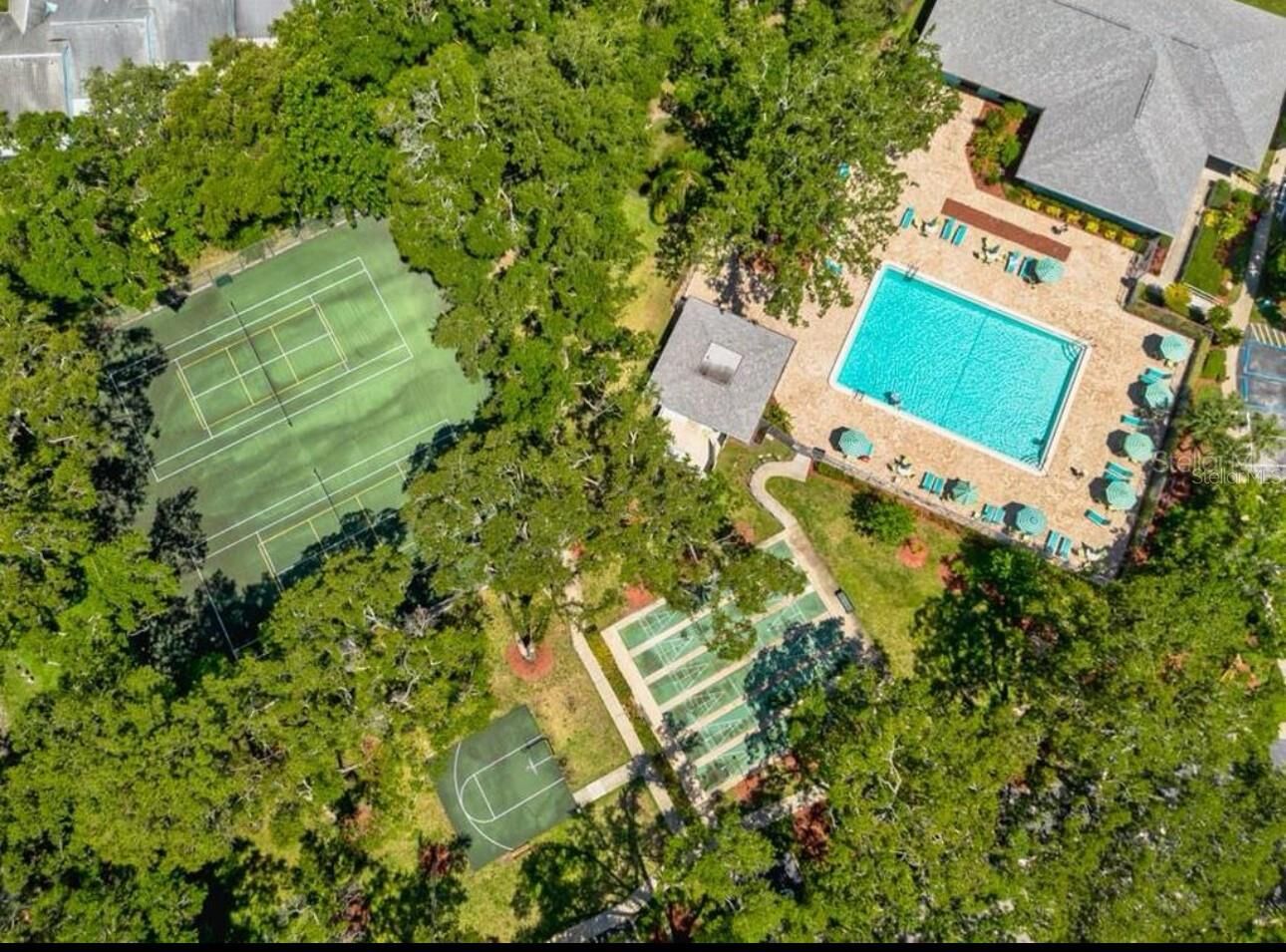 Property Photo:  3300 Fox Chase Circle N 229  FL 34683 