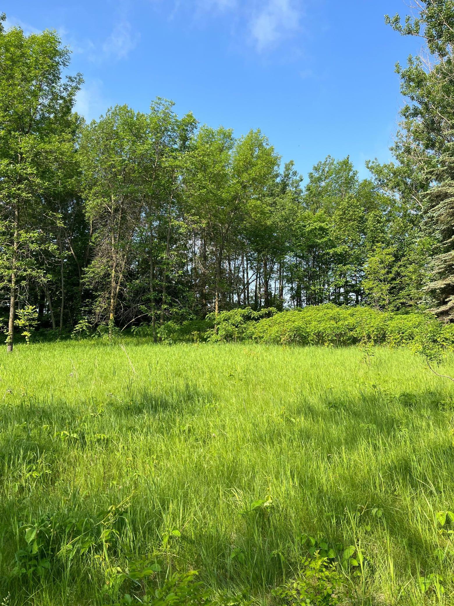 Property Photo: Tbd Wild Rose Trail MN 56544